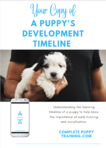 puppy development timeline