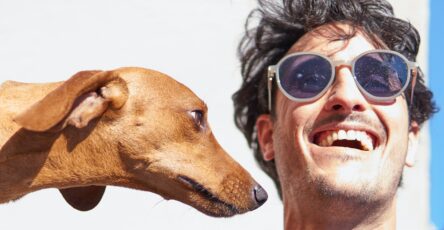 In this post, how can I be the best dog owner ever? you will learn some tips for being a responsible and caring dog owner. Dogs rely on their owners for guidance