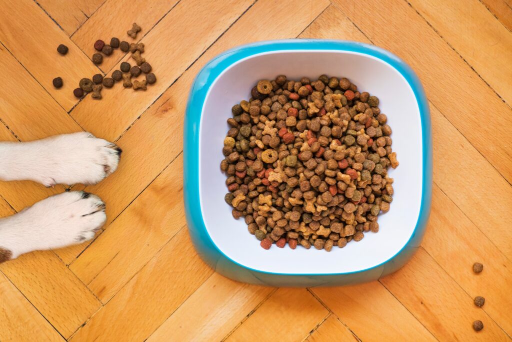 The Essential Guide to Dog Nutrition