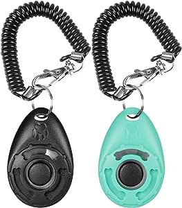 Clicker Training Unleashed