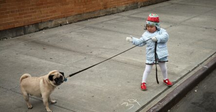 The Opposition Reflex