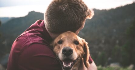 The Role of Oxytocin in a Dog's Body