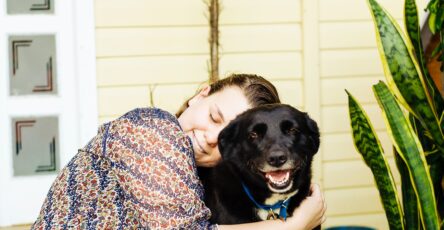 Nurturing Your Dog's Well-Being at Home