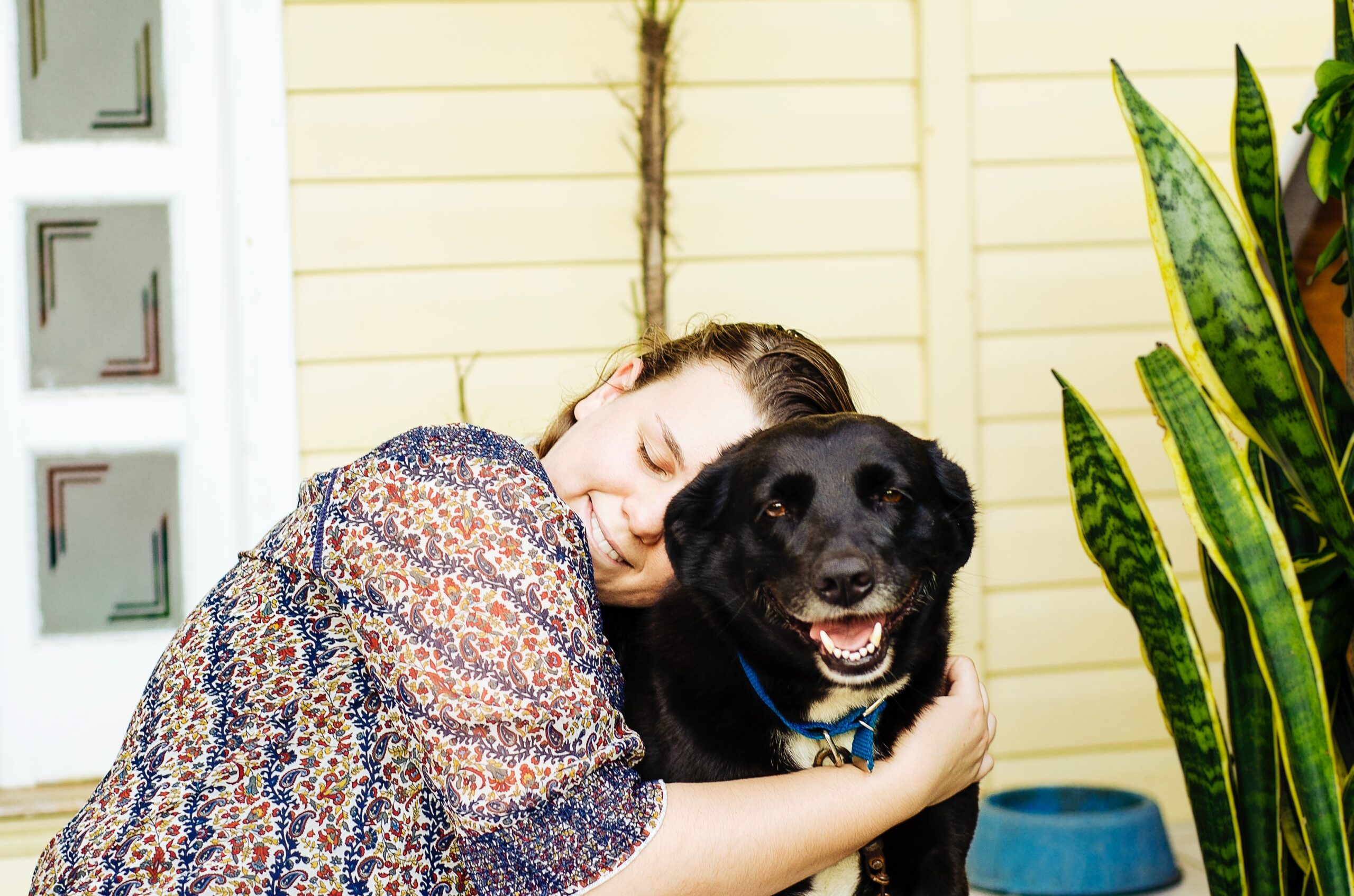 Nurturing Your Dog's Well-Being at Home