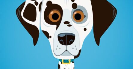 15 fascinating facts about canine ears