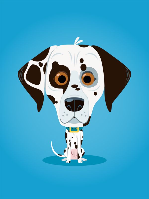 15 fascinating facts about canine ears