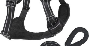 Best Dog Harness UK