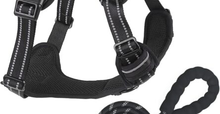 Best Dog Harness UK