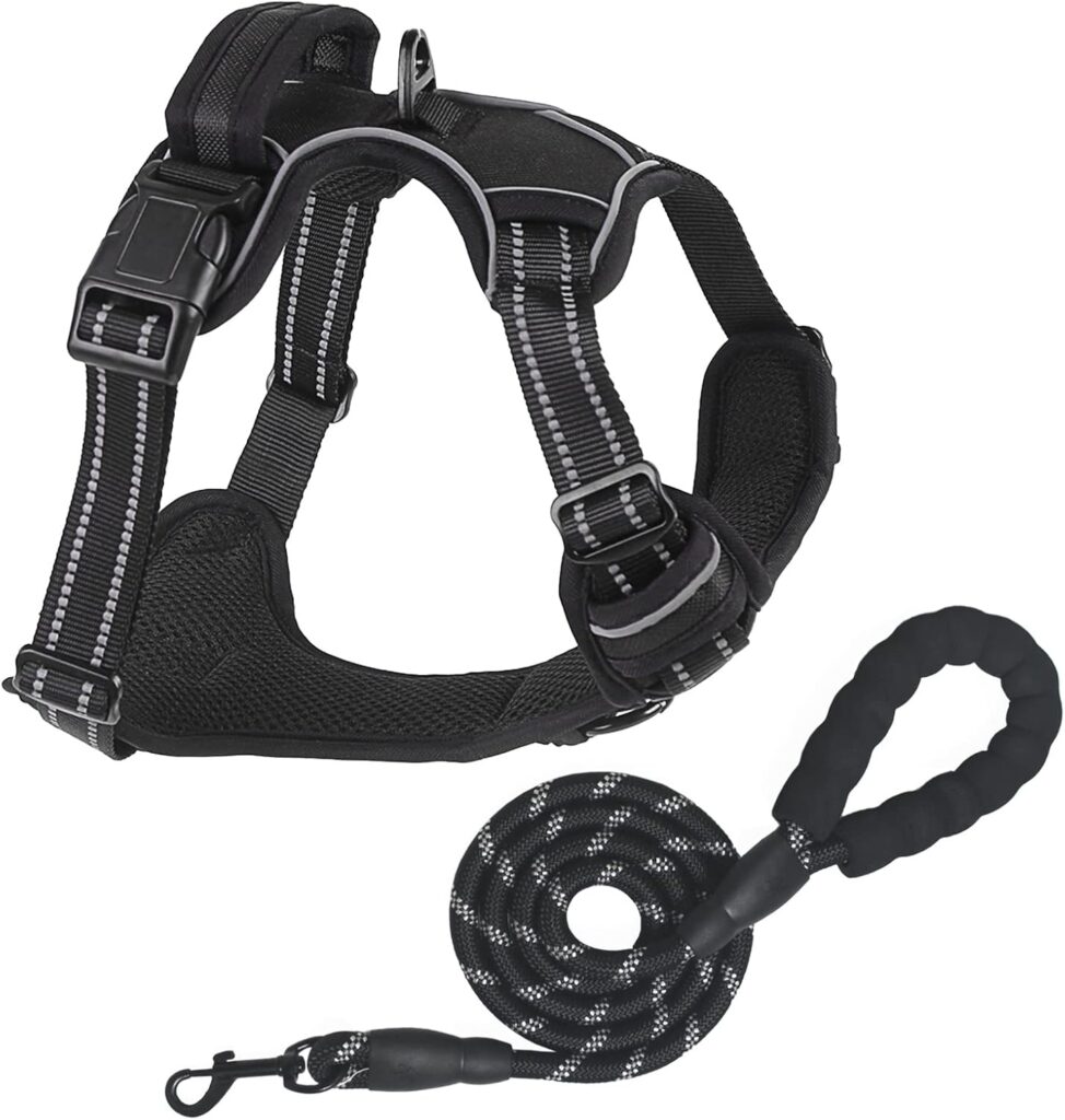 Best Dog Harness UK